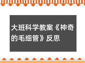 大班科學(xué)教案《神奇的毛細(xì)管》反思