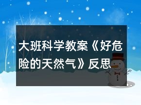 大班科學(xué)教案《好危險的天然氣》反思