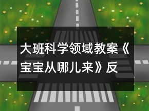 大班科學領域教案《寶寶從哪兒來》反思