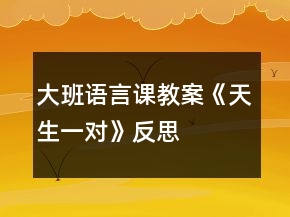 大班語言課教案《天生一對(duì)》反思