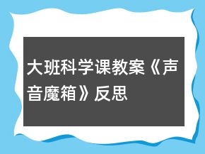大班科學(xué)課教案《聲音魔箱》反思