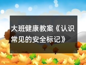 大班健康教案《認識常見的安全標記》反思