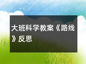 大班科學(xué)教案《路線(xiàn)》反思