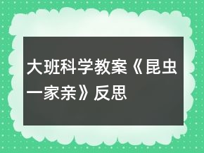 大班科學教案《昆蟲一家親》反思