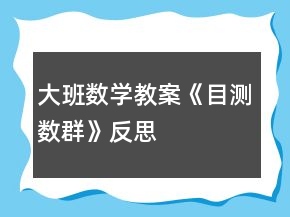 大班數(shù)學(xué)教案《目測(cè)數(shù)群》反思