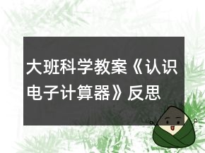 大班科學(xué)教案《認(rèn)識電子計(jì)算器》反思