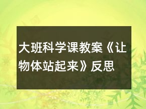 大班科學(xué)課教案《讓物體站起來》反思