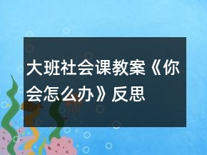 大班社會(huì)課教案《你會(huì)怎么辦》反思