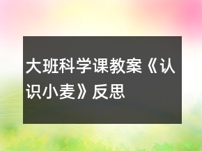 大班科學課教案《認識小麥》反思