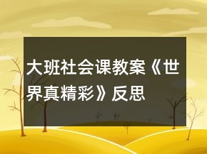 大班社會(huì)課教案《世界真精彩》反思