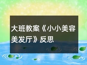 大班教案《小小美容美發(fā)廳》反思