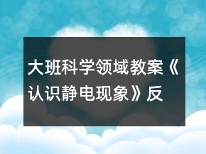 大班科學(xué)領(lǐng)域教案《認識靜電現(xiàn)象》反思