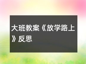 大班教案《放學(xué)路上》反思