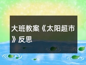 大班教案《太陽超市》反思