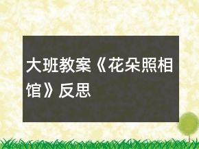大班教案《花朵照相館》反思