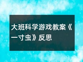 大班科學(xué)游戲教案《一寸蟲》反思