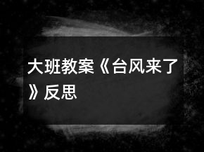 大班教案《臺(tái)風(fēng)來了》反思