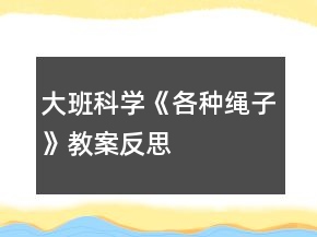 大班科學(xué)《各種繩子》教案反思