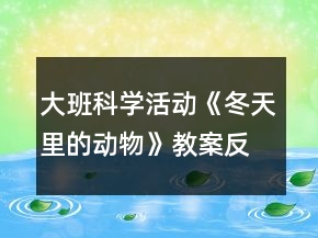 大班科學(xué)活動《冬天里的動物》教案反思