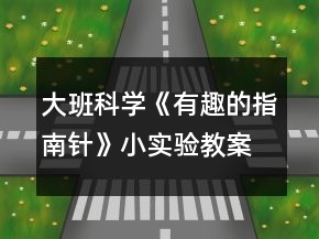 大班科學(xué)《有趣的指南針》（小實驗）教案反思
