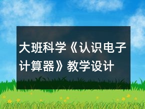 大班科學《認識電子計算器》教學設計反思
