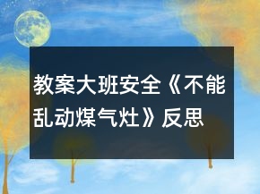 教案大班安全《不能亂動煤氣灶》反思