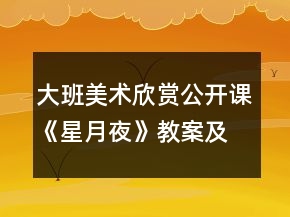大班美術(shù)欣賞公開(kāi)課《星月夜》教案及教學(xué)活動(dòng)反思