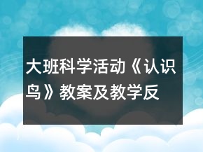 大班科學活動：《認識鳥》教案及教學反思