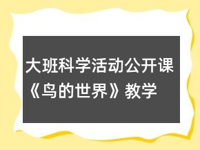大班科學(xué)活動(dòng)公開課《鳥的世界》教學(xué)設(shè)計(jì)反思