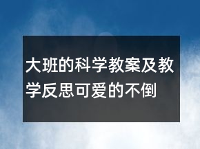 大班的科學(xué)教案及教學(xué)反思：可愛的不倒翁