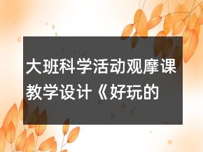 大班科學(xué)活動觀摩課教學(xué)設(shè)計：《好玩的動畫》