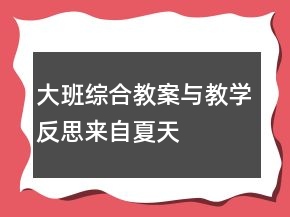 大班綜合教案與教學反思——來自夏天的故事