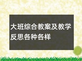 大班綜合教案及教學(xué)反思——各種各樣的汽車(chē)