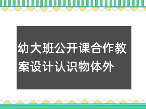幼大班公開課合作教案設(shè)計(jì)：認(rèn)識物體外部特征