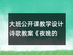 大班公開課教學(xué)設(shè)計詩歌教案《夜晚的城市》及評析