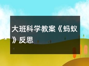 大班科學(xué)教案《螞蟻》反思