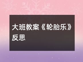 大班教案《輪胎樂》反思