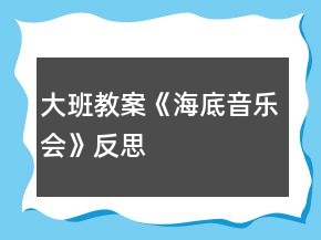 大班教案《海底音樂會》反思