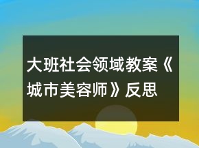 大班社會領域教案《城市美容師》反思