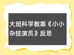 大班科學(xué)教案《小小雜技演員》反思