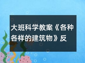 大班科學(xué)教案《各種各樣的建筑物》反思