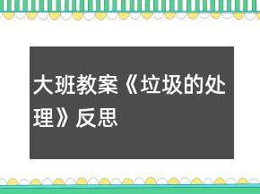大班教案《垃圾的處理》反思