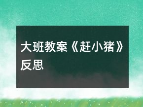 大班教案《趕小豬》反思