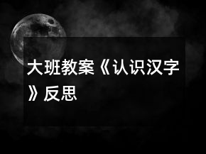 大班教案《認(rèn)識漢字》反思