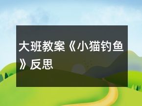 大班教案《小貓釣魚》反思