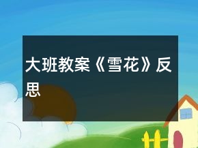 大班教案《雪花》反思