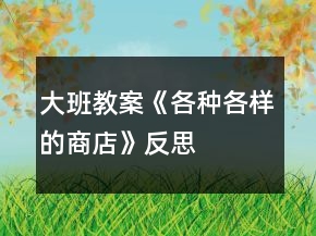 大班教案《各種各樣的商店》反思