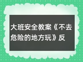 大班安全教案《不去危險的地方玩》反思