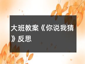 大班教案《你說我猜》反思