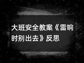 大班安全教案《雷響時別出去》反思
